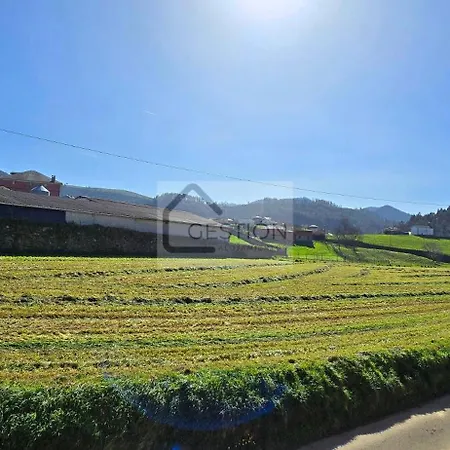 Trinamar Carcedo (Asturias)